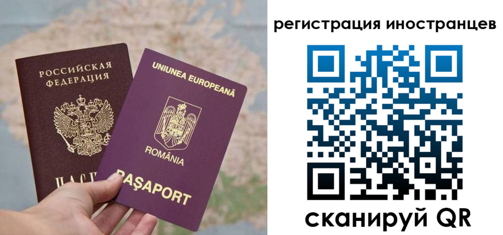 прописка в квартире в Чите